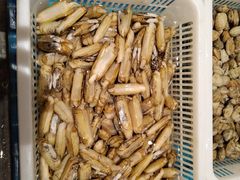 -艳阳天·非遗楚菜(武汉客厅店)