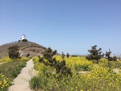 -海驴岛(荣成市)