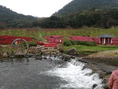 -广州市石门国家森林公园