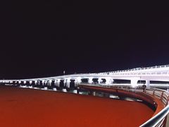 -演武大桥观景平台