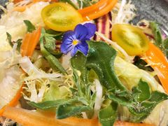 蔬菜沙拉-新光酒家·河豚·海鲜·蟹料理(浦东店)