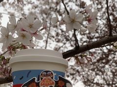 -Beans Solo豆号咖啡(百家湖花园店)