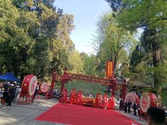 -武侯墓风景区