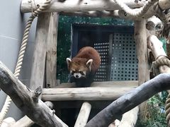 -石排湾郊野公园