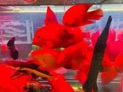 -三旗百汇商品城