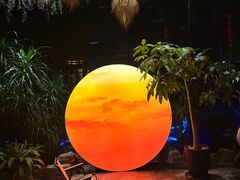 -扬之阿李菌汤火锅(1969店)