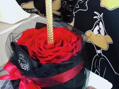 -ZOZO's昌左左精致甜品设计(新北店)