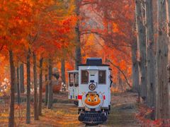 -黄海国家森林公园