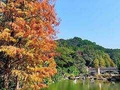 -云溪植物园