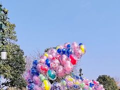 -上海迪士尼度假区