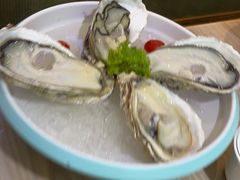 -探窝·竹笙椰子鸡(杨箕店)