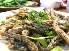 紫苏山坑鱼仔-开心农家菜