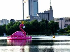 -莲花池公园