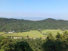 -风云岭森林公园