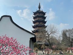 -红梅公园