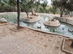 -森林公园(尖草坪区)