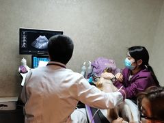 -宠爱国际动物医院·消化内科·心肾内科·ISFM猫友好(望京店)