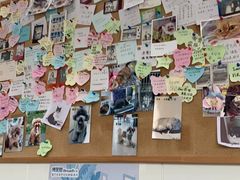 -爱诺耐芙动物医院(万博店)