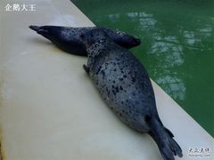 030320094640-绿色时代大酒店