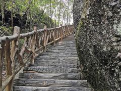 -修水东浒寨风景区