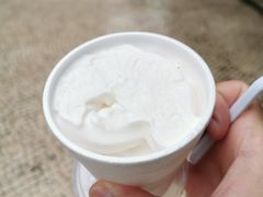 -洪馨椰子