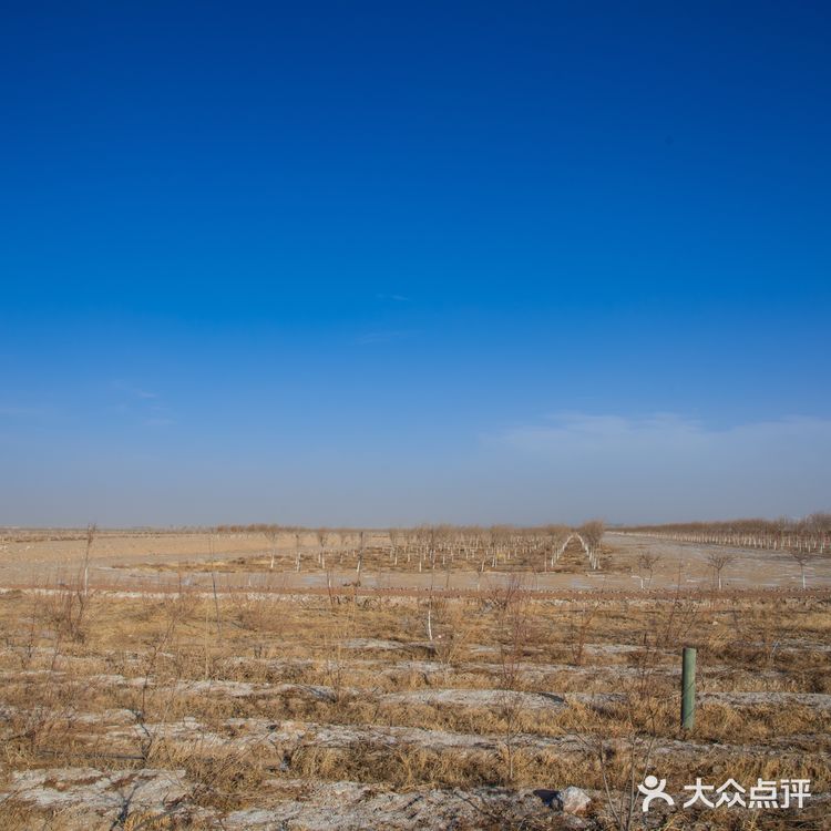 每次回家过年团聚，只要有他就是各种拍拍拍