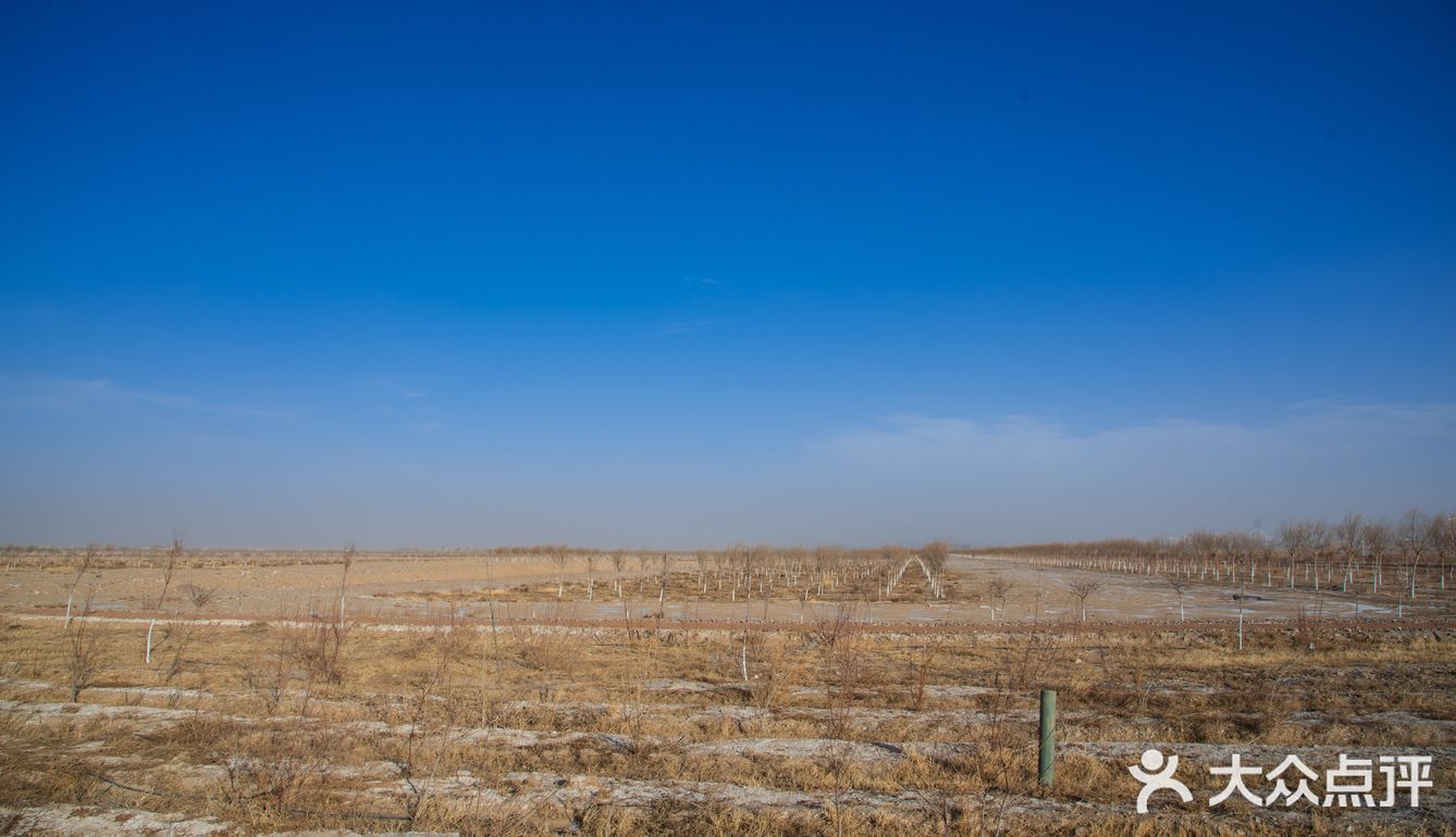 每次回家过年团聚，只要有他就是各种拍拍拍