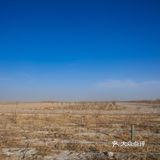 每次回家过年团聚，只要有他就是各种拍拍拍