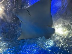 -鹿儿岛水族馆