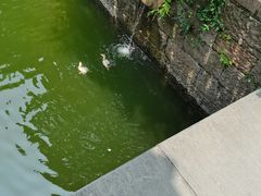 -浙江省博物馆(孤山馆区)