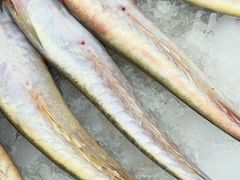 -老黄县饭馆(金都文化商城店)