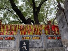 -大槐树寻根祭祖园