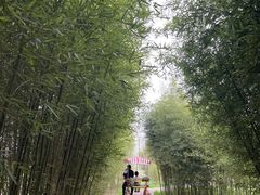 -嘉北郊野公园