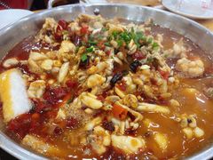 -专业跳跳蛙·彭彭老铺(步行街店)