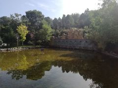 -兰山公园