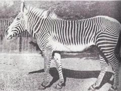 -北京动物园-畅观楼