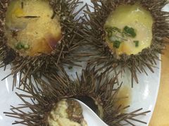 -海岛渔村大酒店(云霄路店)