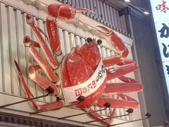 -蟹道乐(道顿堀本店)