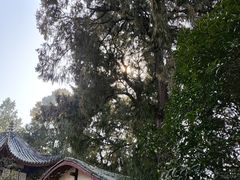 -子昂故里文化旅游区