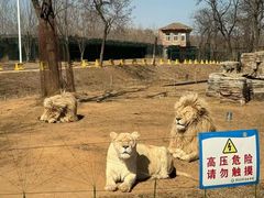 -秦皇岛野生动物园