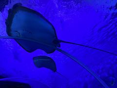 -多彩贵州城极地海洋世界