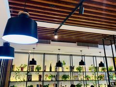 -三猫黑鱼花(南大店)