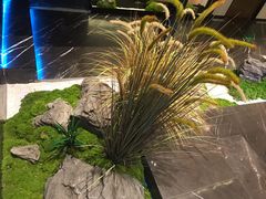 -次第花开素食雅宴