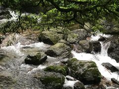 -瓦屋山景区