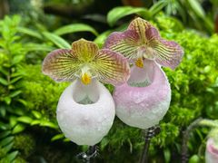 -星巴克(北京南站2B检票口)