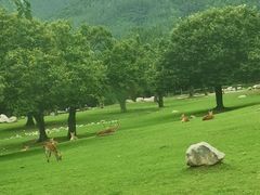-西安秦岭野生动物园