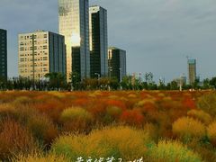 -映月湖中央公园