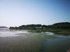 -苏州太湖西山岛开心农场