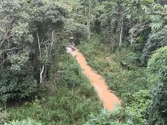 -野象谷景区