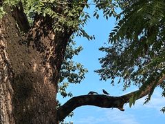 -国家图书馆·古籍馆